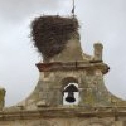 Restauracion de la espadaña de la Iglesia de Bustillo de la Vega, Palencia