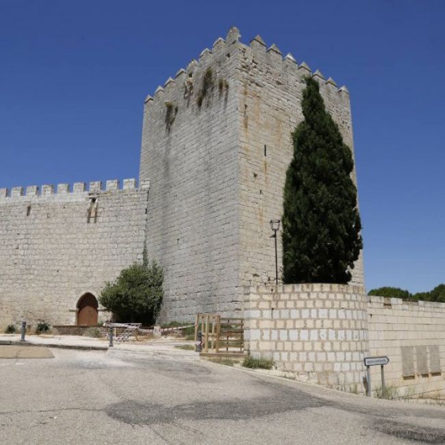 Castillo Monzón de Campos